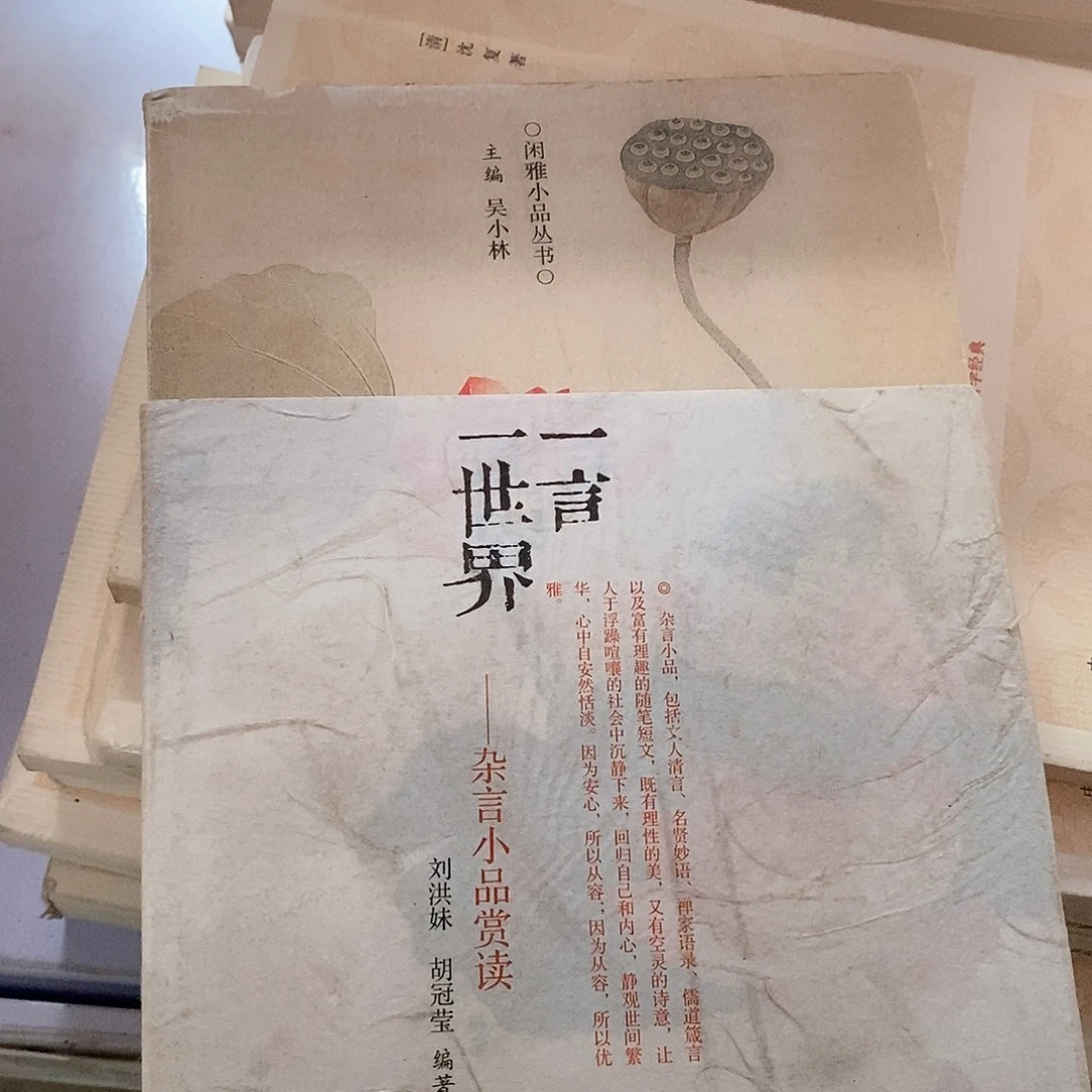 瑕疵  一言一世界