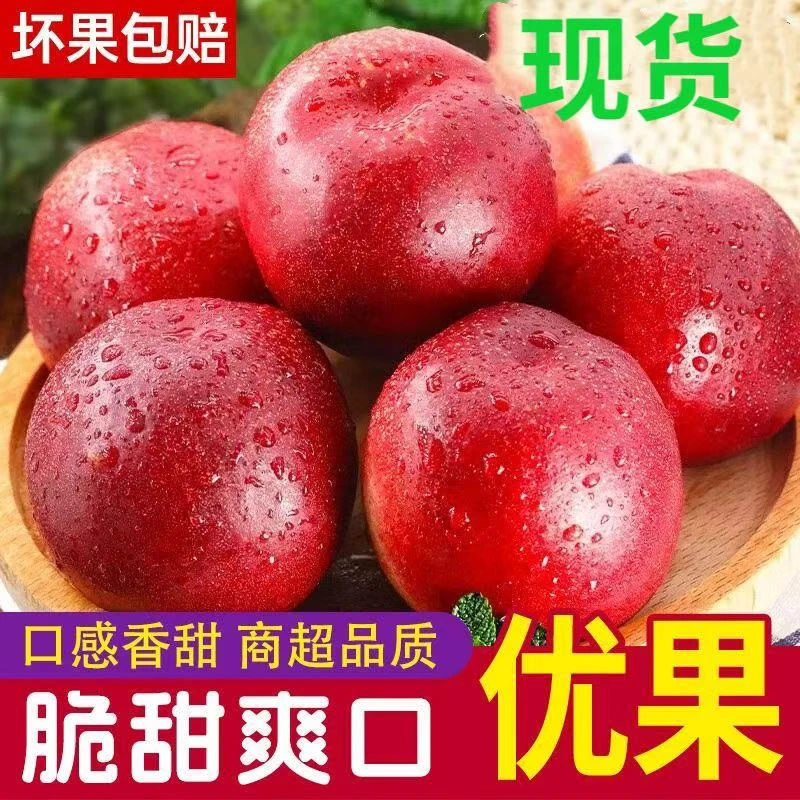 脆甜红油桃 硬吃脆甜 软吃爆汁