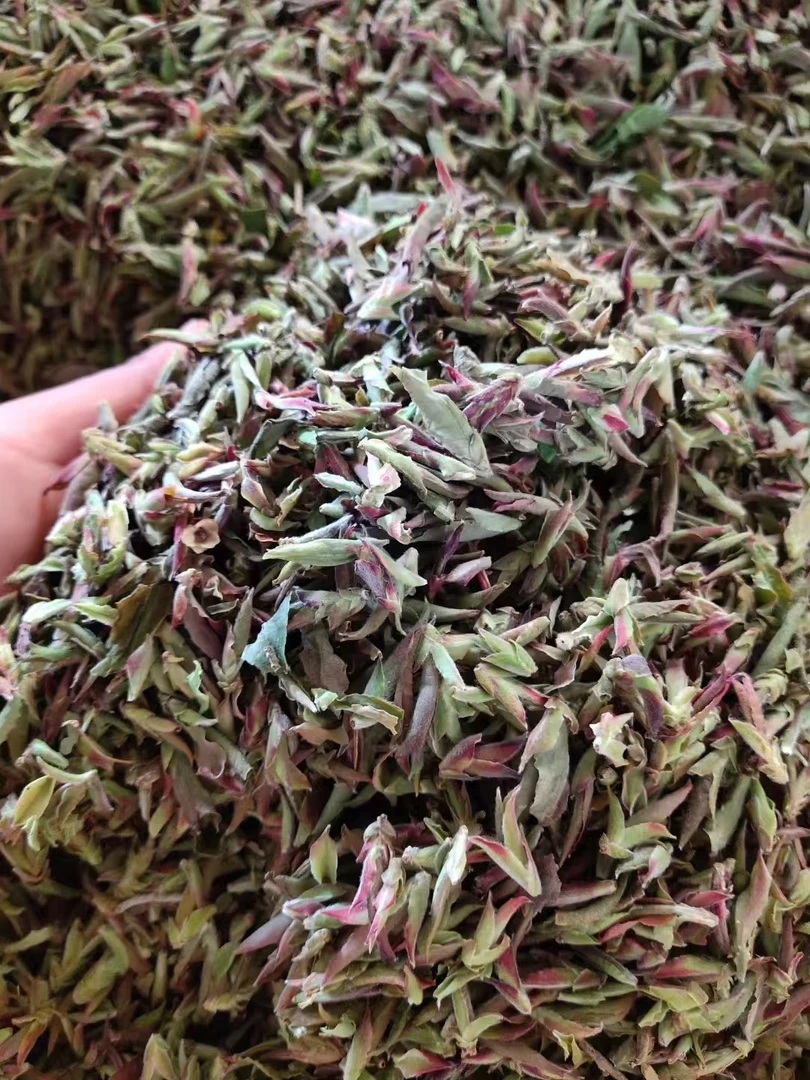 【香巴拉的茶】 2025年野生古树白茶牙苞/ 散茶/