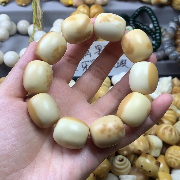 手串菩提根/象牙果24桶珠象牙果 通货