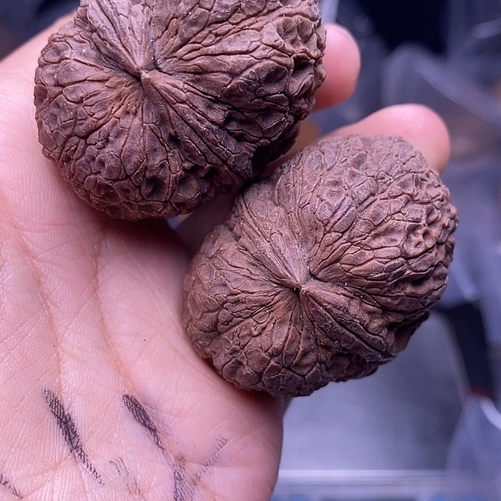 把件文玩核桃   262