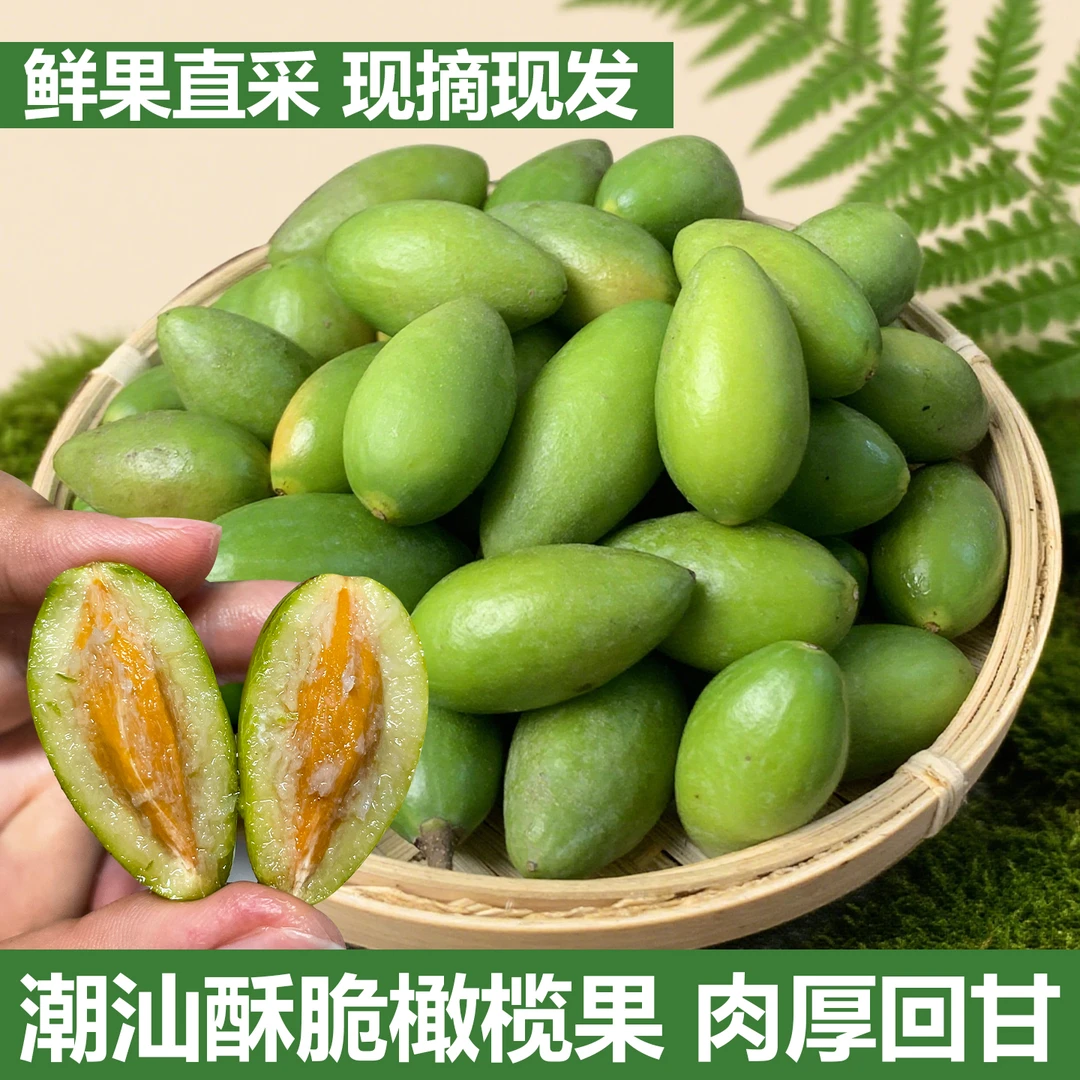 潮汕大妈 正宗青枣橄榄新鲜现摘酥脆回甘无渣孕妇生吃煲汤青橄榄