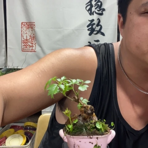 一物一拍所见即所得142