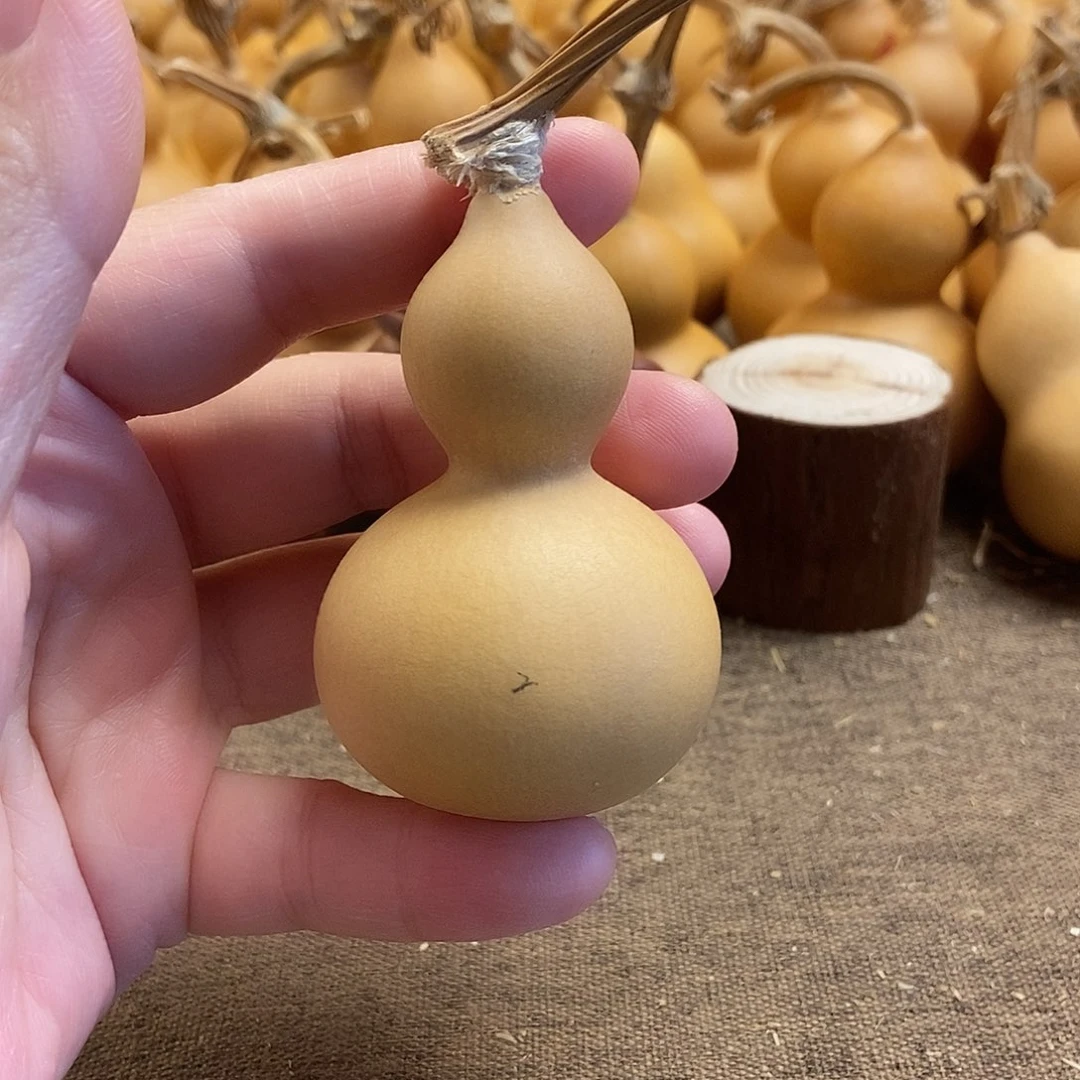 文玩葫芦 完美主义者 慎拍2