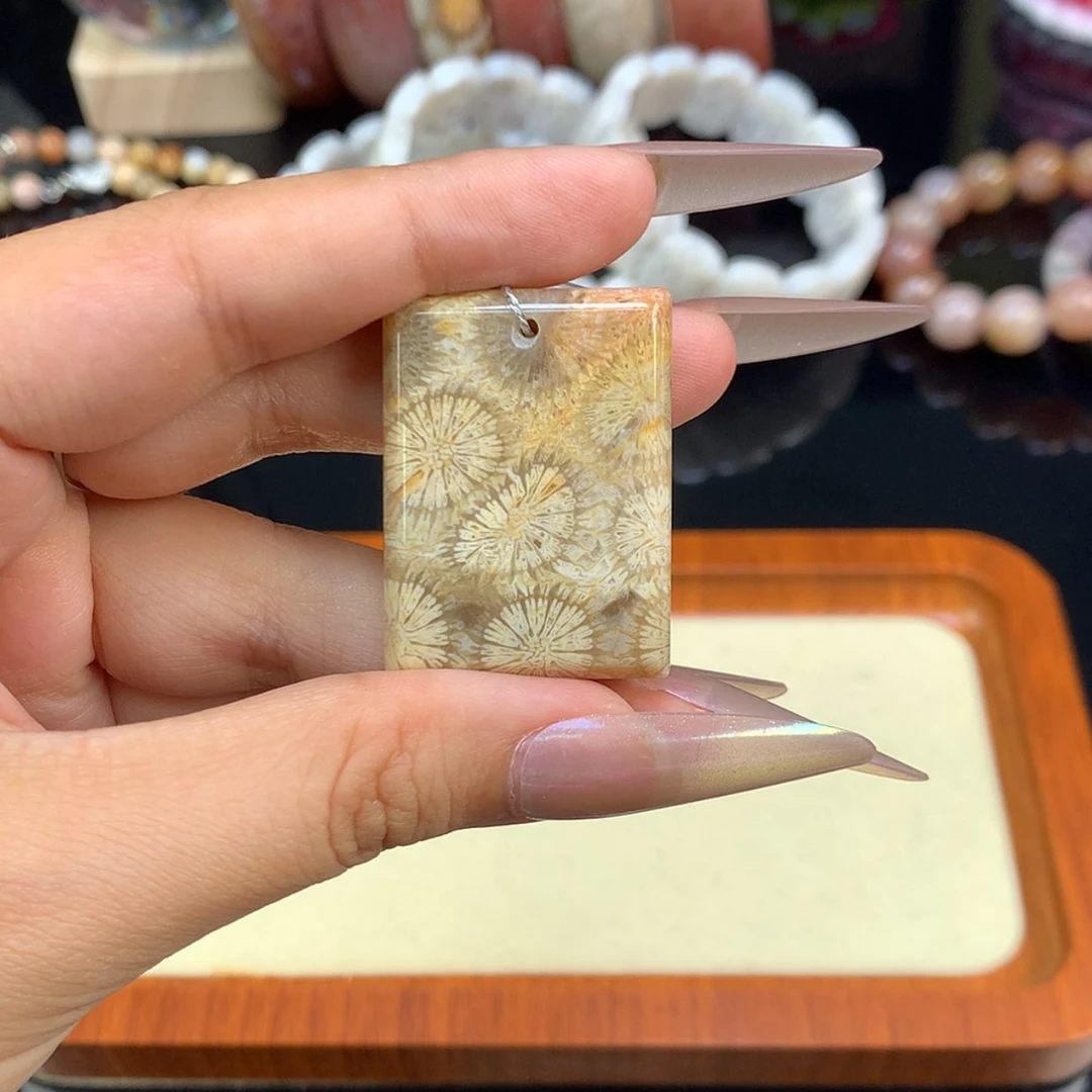 【闪购商品】颈饰未镶嵌硅化珊瑚（珊瑚玉）