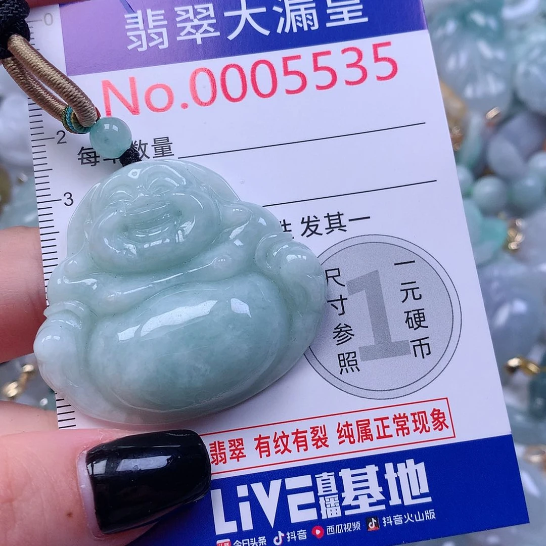 颈饰未镶嵌翡翠i