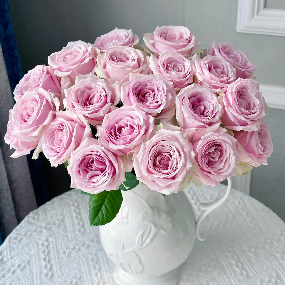 【花千氧】粉红雪山单头玫瑰云南鲜花基地直发水培花卉日常鲜切花