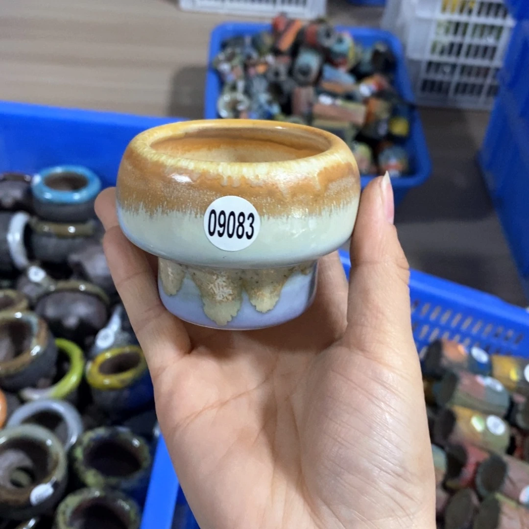 拍5送一个小礼物