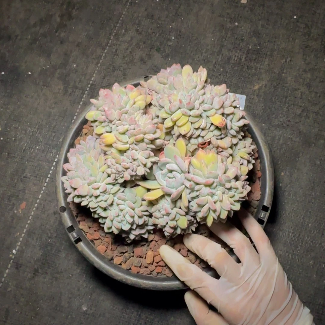 k j j j j j j j j j j 7