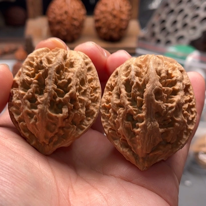 把件文玩核桃楸大胖9