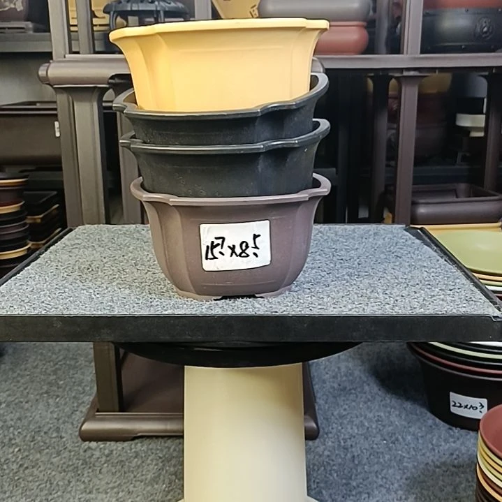 知***居50只15.7cm小号四叶草圆盆