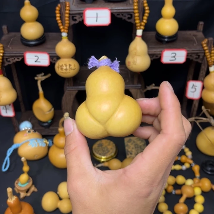 金蟾屁屁11111111