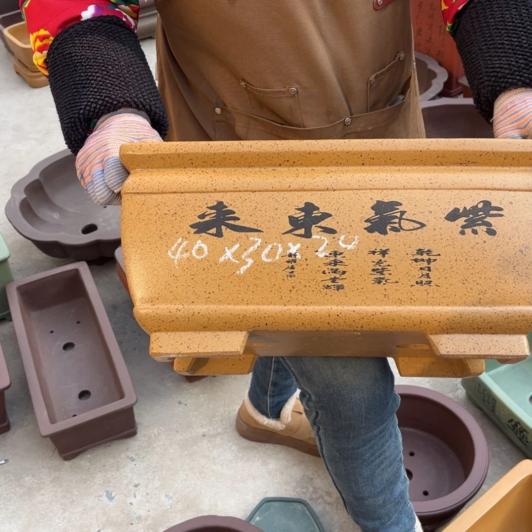 紫砂花盆盆景艺术