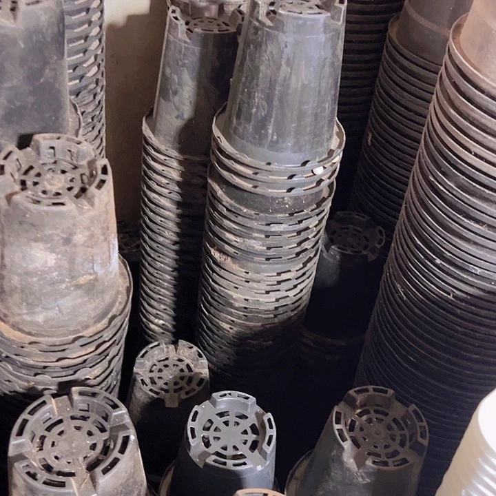 兰花盆口径12.5高13发18个