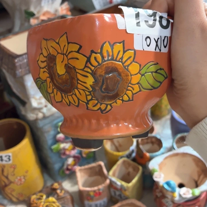 多肉花盆满15包邮