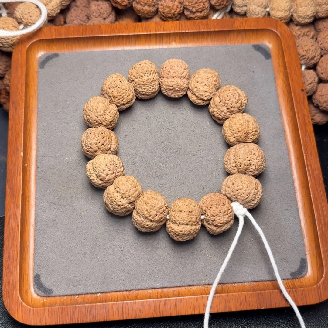 3号尼泊尔大金刚23五星熊猫菠萝蜜