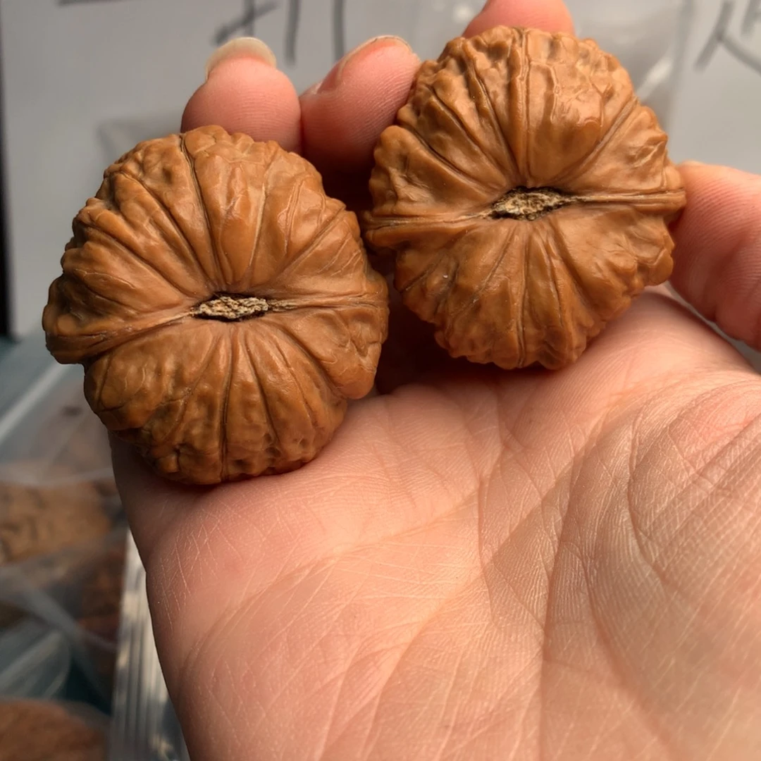 逐***…南瓜51颗枸杞米糊的