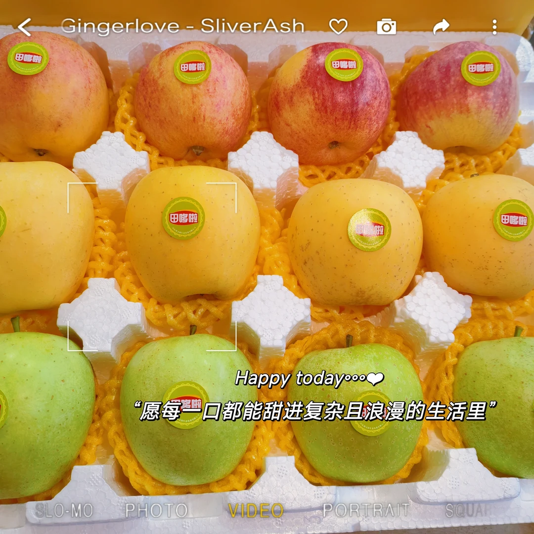 “新年福运”三色苹果75#12枚快递装