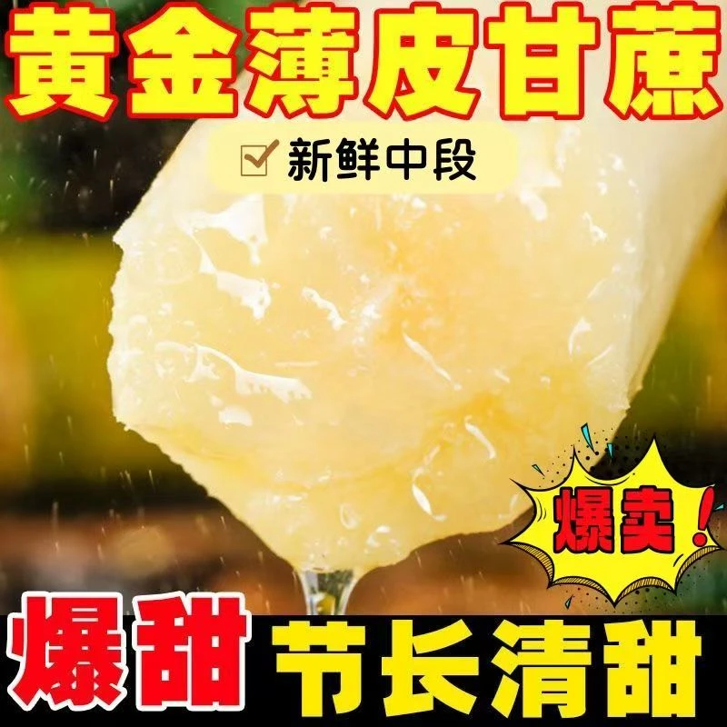 【开播福利】正宗云南高原黄金甘蔗爆甜多汁现砍现发