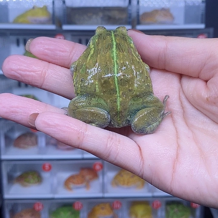 特价秒杀现货特价