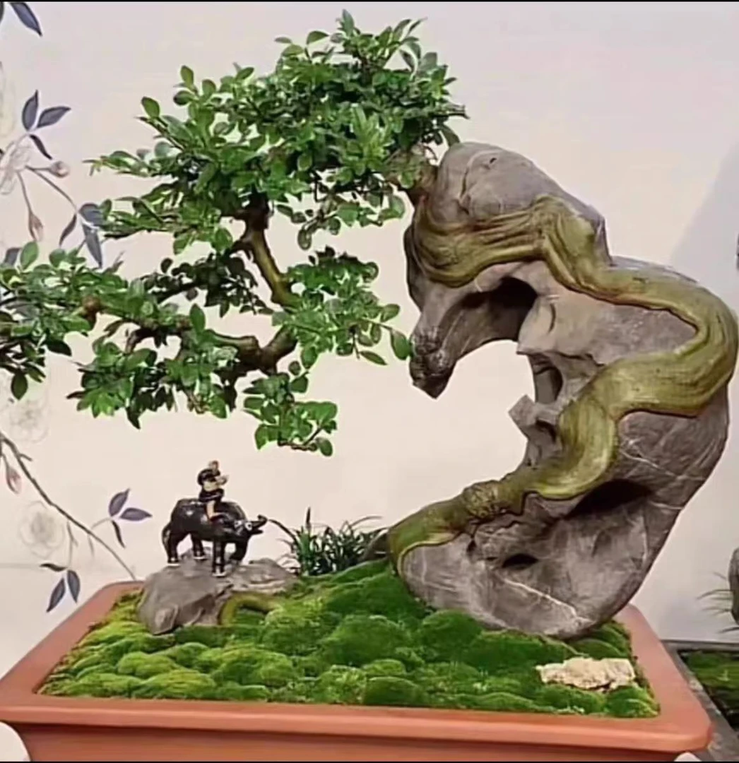 假山水陆缸盆景附石青龙石天然原石造景石，直播下单专用