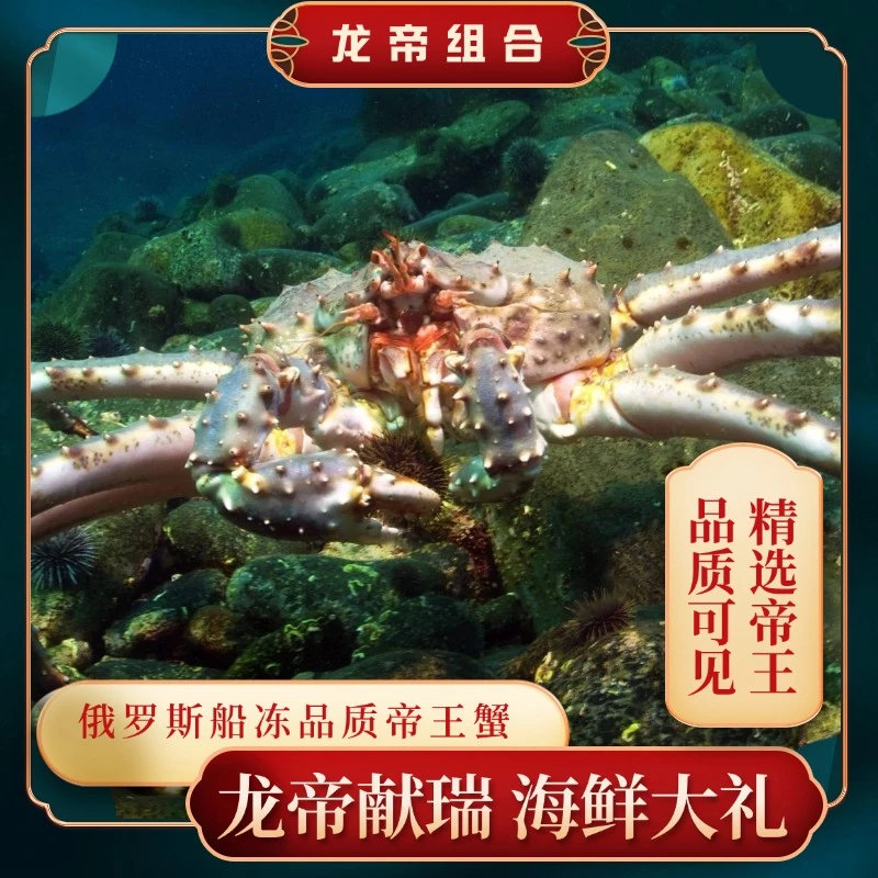 【现场称重】微瑕俄罗斯帝王蟹断腿微残正宗帝王蟹顺丰发货