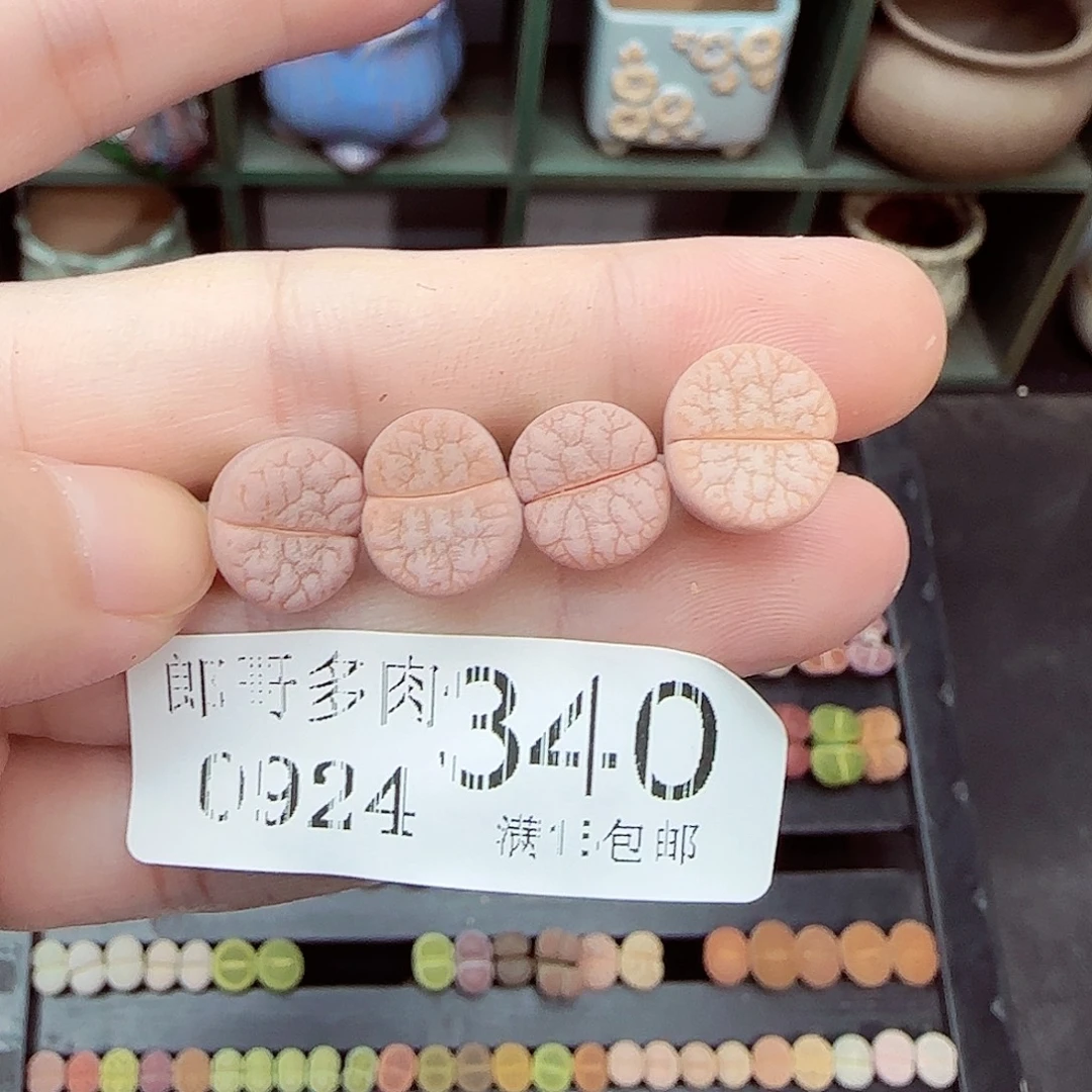 满满18包邮0924-340