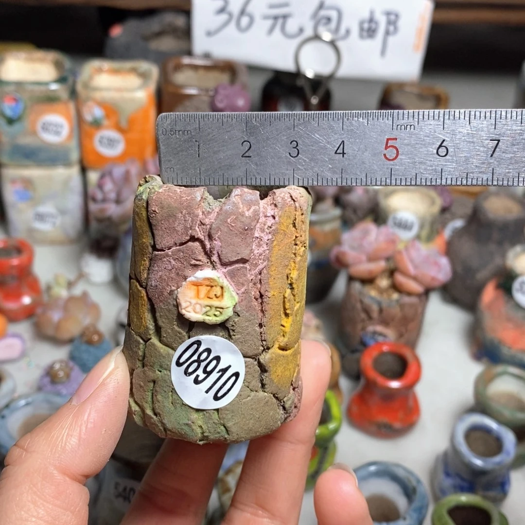 多肉花盆拍3送一个小礼物