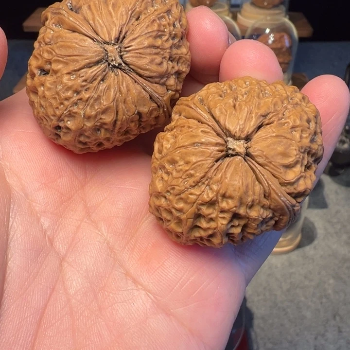 文玩核桃把件蚂蚁纹铁狮子43mm