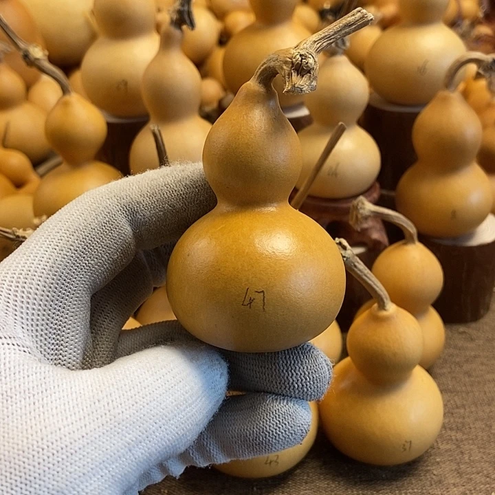 文玩葫芦 完美主义者 慎拍47