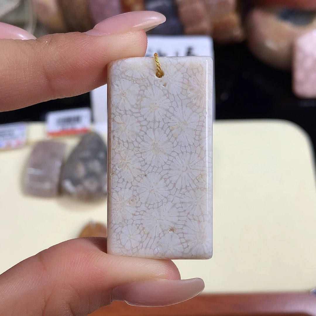 吊坠(赠链)未镶嵌硅化珊瑚（珊瑚玉）16号漏