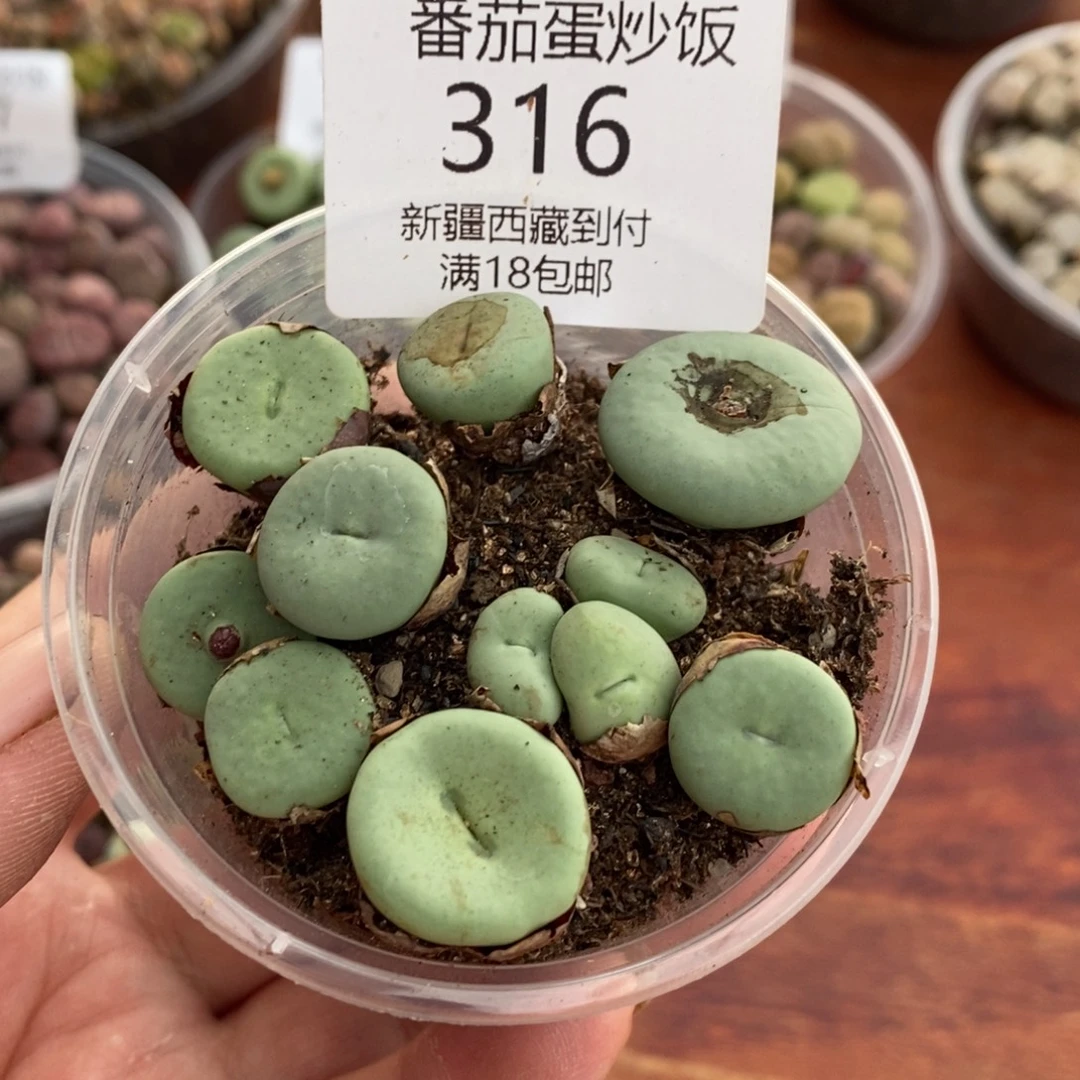 感谢您的支持，00316