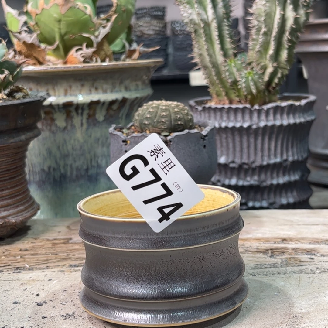 陶内口8.3高6景德镇