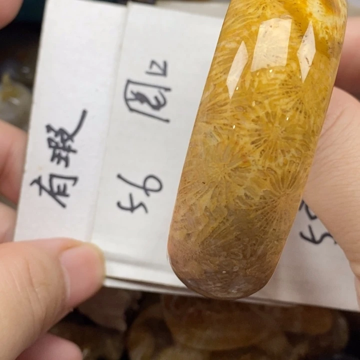 硅化珊瑚（珊瑚玉）未镶嵌颈饰