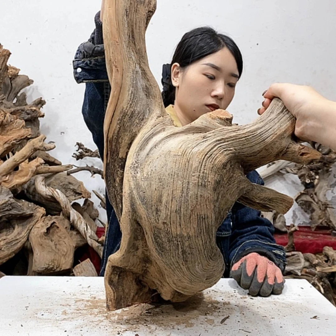 【闪购商品】柏木东*我们都是好孩子