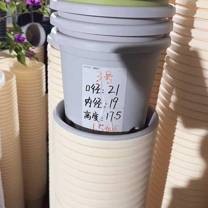 四季3号灰白无托10个特价微瑕