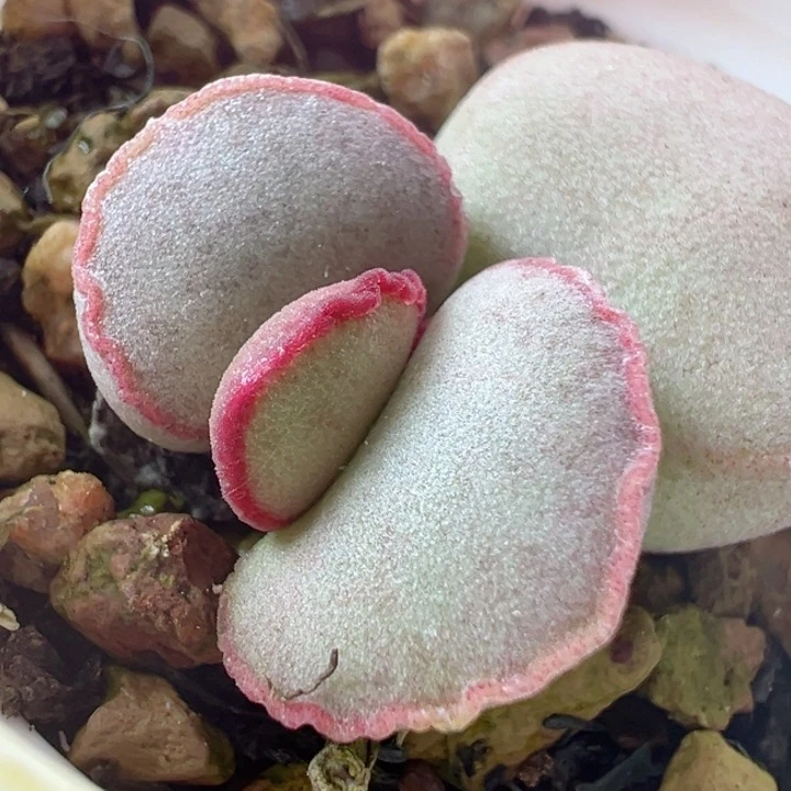 追*可以在你需要时候出现你身边