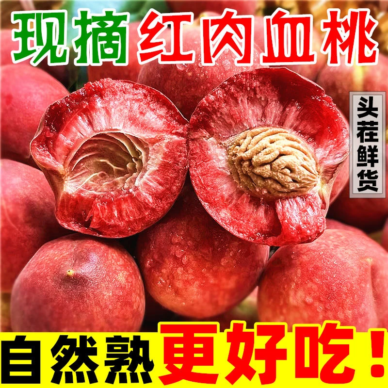 头茬】新鲜血桃现摘猪血桃狗血桃老树朱砂红桃子五月桃应季水果