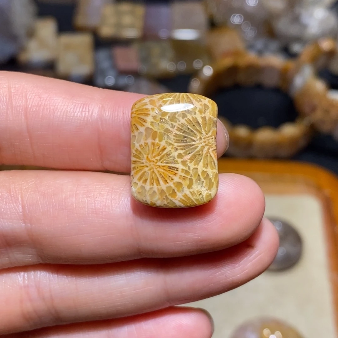 【闪购商品】硅化玉珊瑚玉未镶嵌