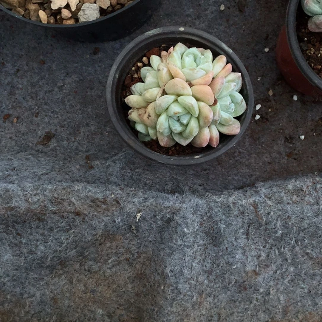 哈哈哈哈哈哈哈哈