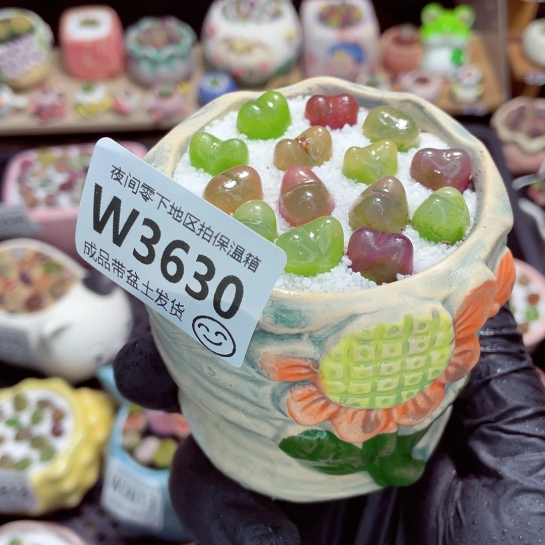 夜间零下地区拍保温箱w3630