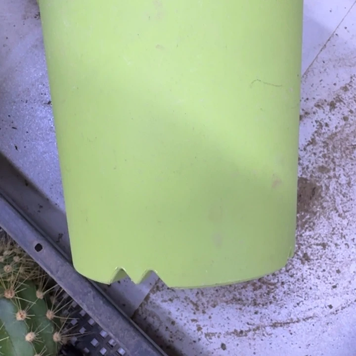 小绿圆盆2个口径15公分左右无托盘，20包邮