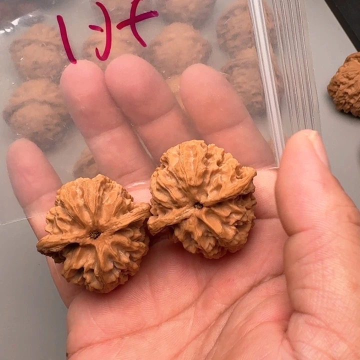 文玩核桃把件l*f山地白狮子