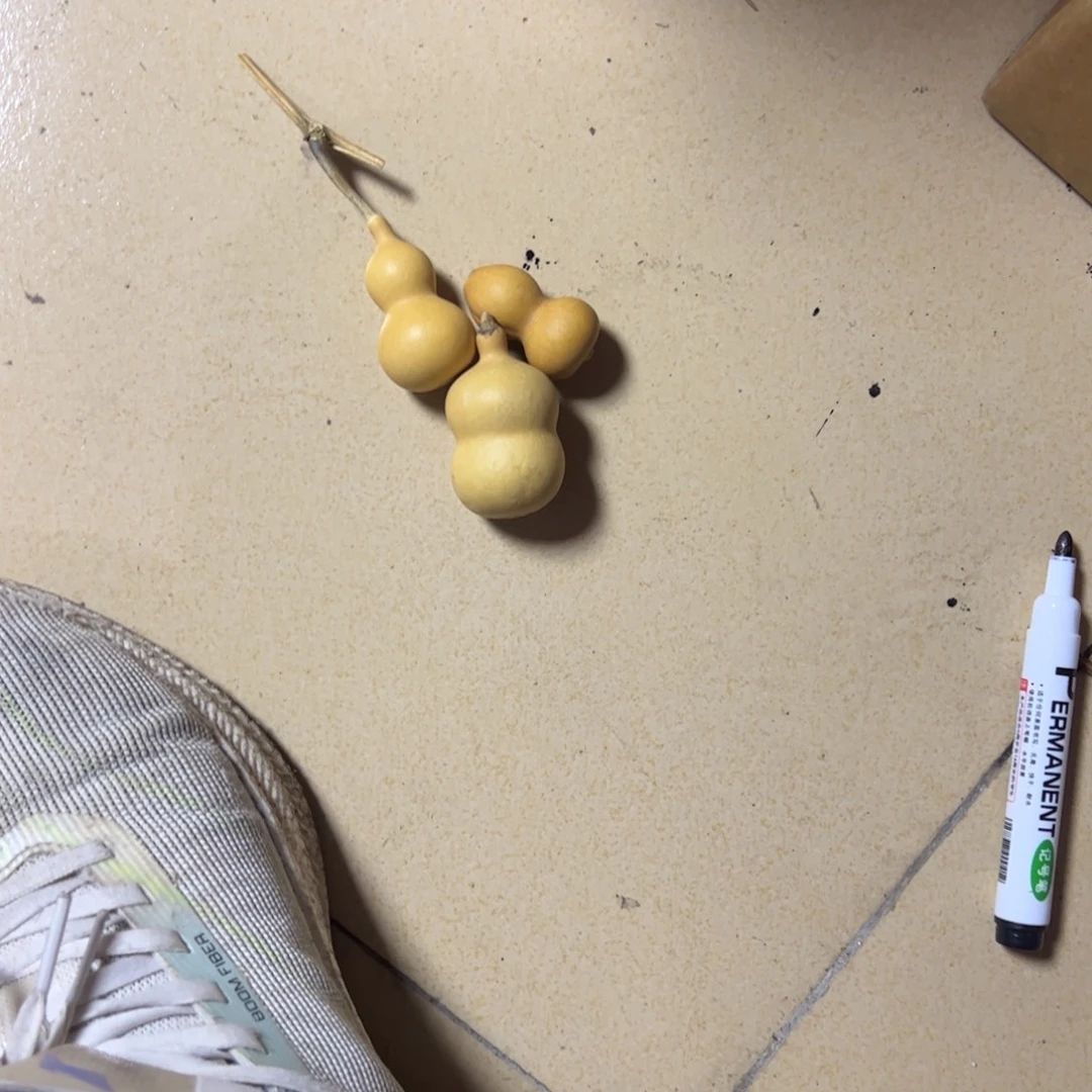 小****大叶紫檀（黑酸枝木类）