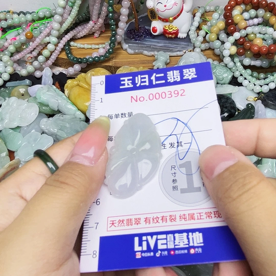 翡翠未镶嵌项圈Qqq