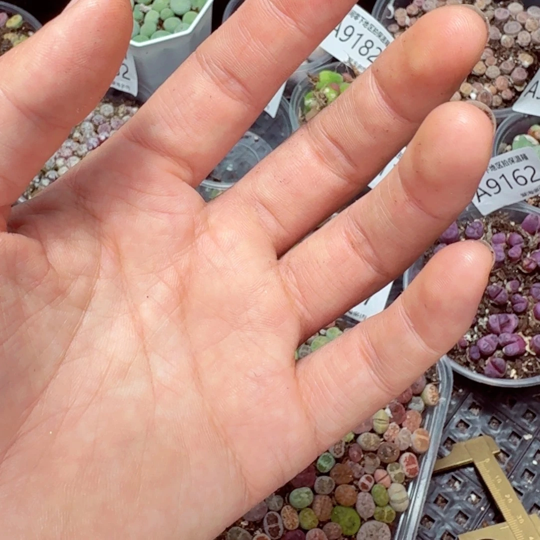 Y***M保温箱 保温箱 ——-