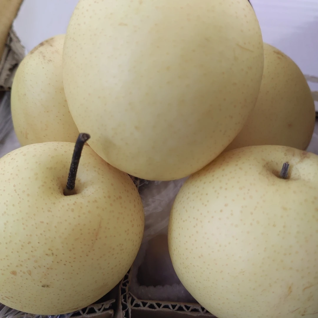 精品黄冠梨一份6斤