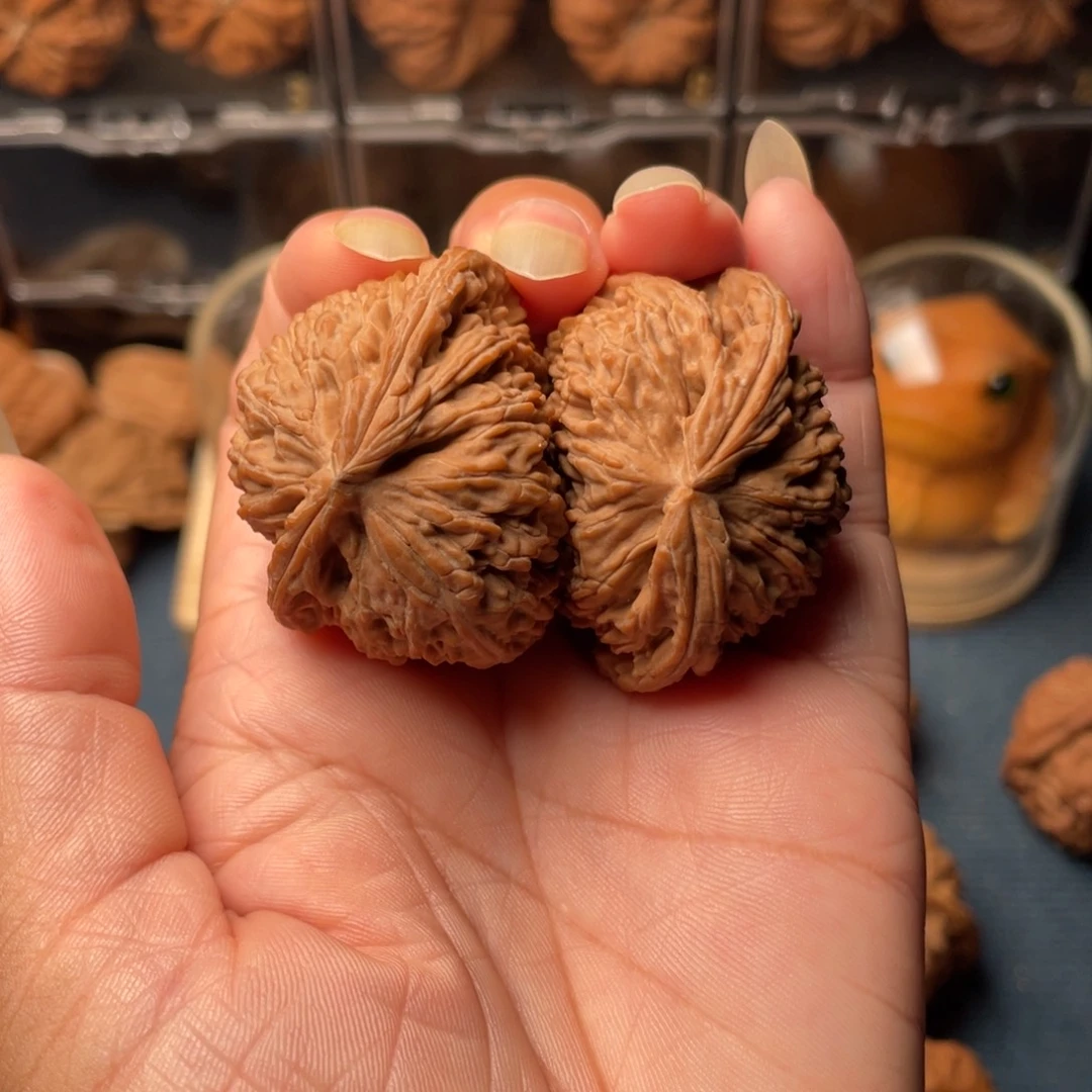 把件文玩核桃白狮子飞蛇半壁