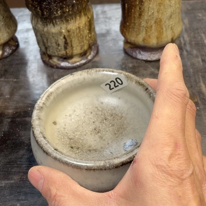 茶宠盏盏灯都是我的爱啊