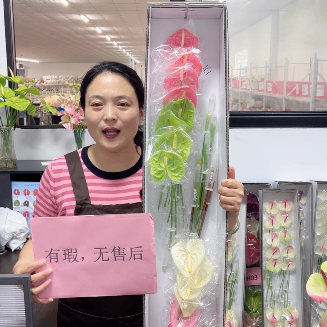 完全开放红掌鲜切花混色16枝装161
